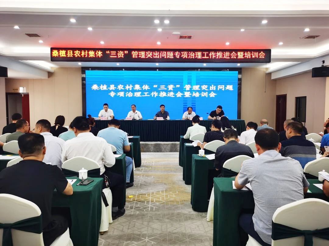 桑植县积极推进农村集体“三资”管理突出问题专项治理工作