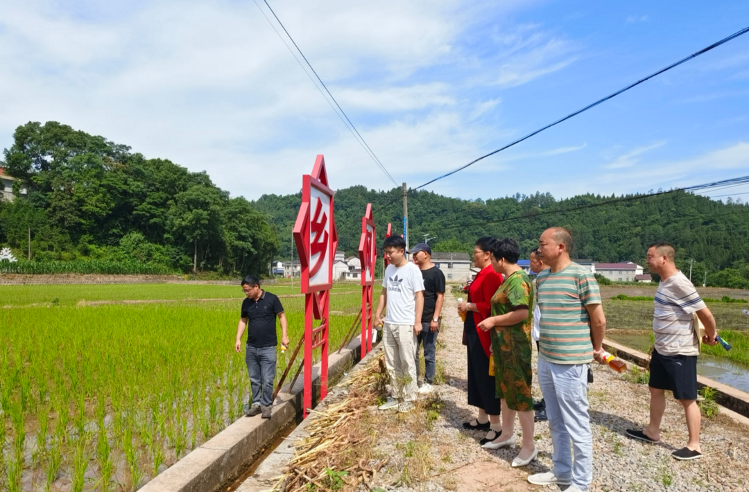 瑞塔铺镇：党建例会开到田间地头  多措并举实现互学共进