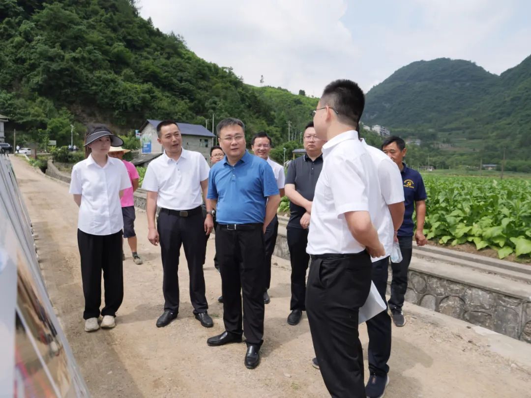 曹飞到竹叶坪乡调研烟叶生产、乡村旅游等工作