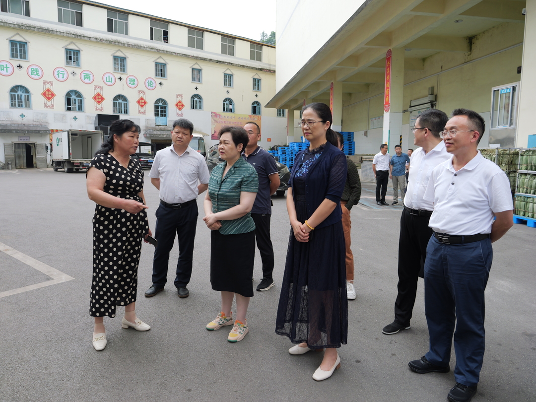 龚健来桑调研残疾人保障“一法一办法”实施情况