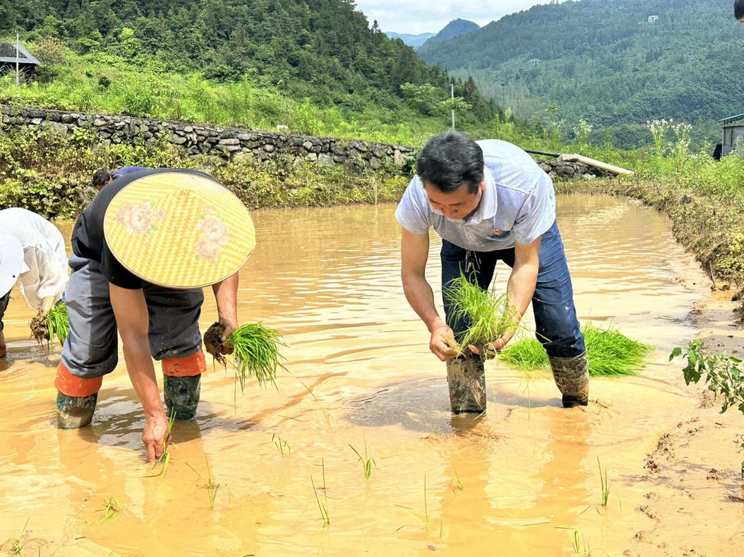 上河溪乡邓家坡村：保障“米袋子”  充实“钱袋子”