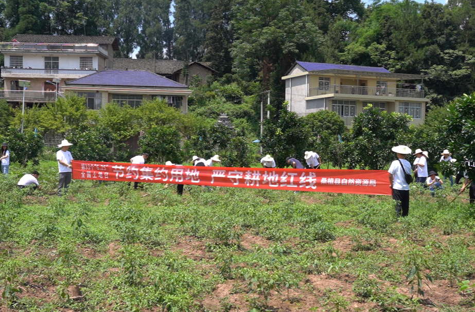 桑植县自然资源局开展宣传全国“土地日”主题党日活动