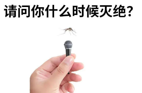 健康知识知多少｜夏季不想被蚊虫“亲吻”，请get这些小妙招！