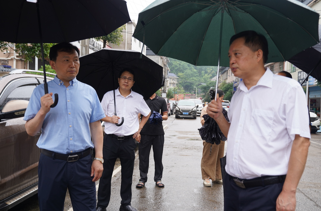 龙维务来桑调研控违治违集中整治工作