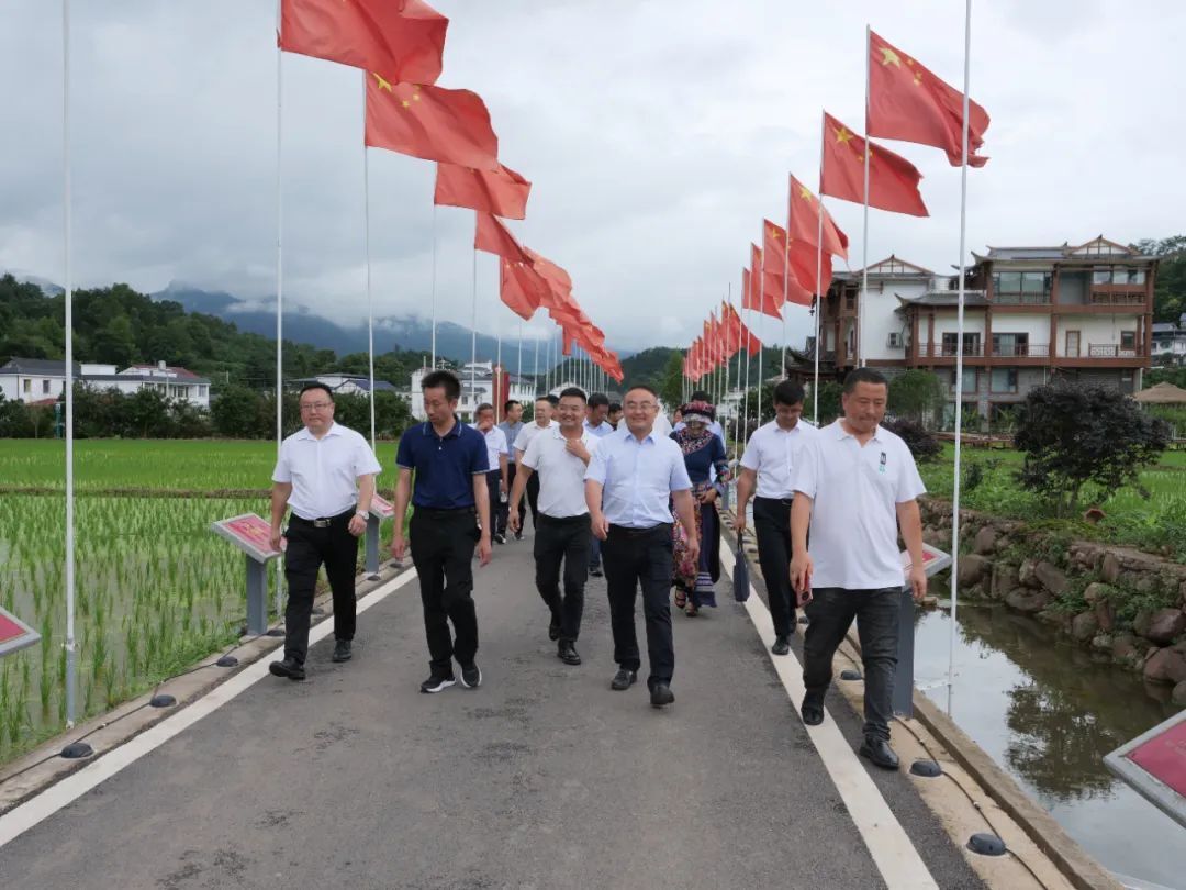 省乡村振兴局来桑植调研乡村振兴工作