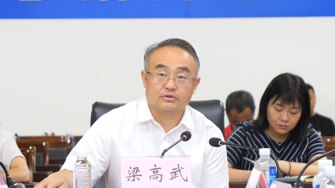梁高武主持召开防汛视频调度会议