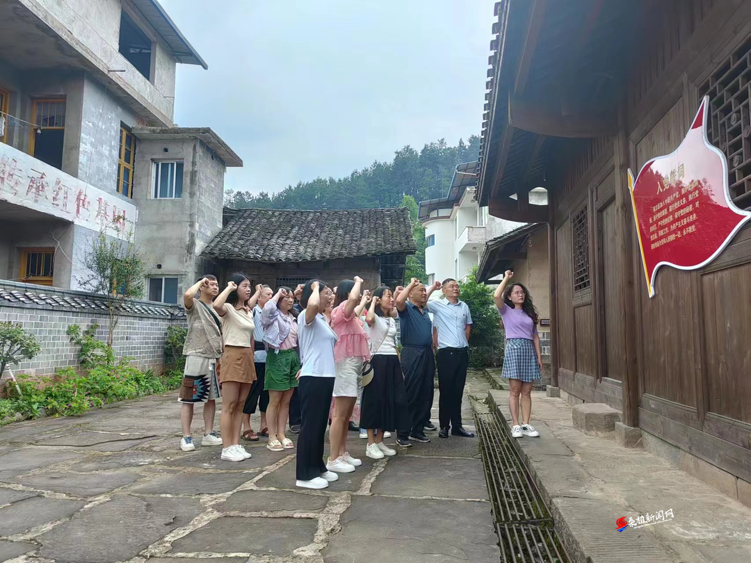 桑植县审计局开展“一课一片一实践”党建主题教育活动