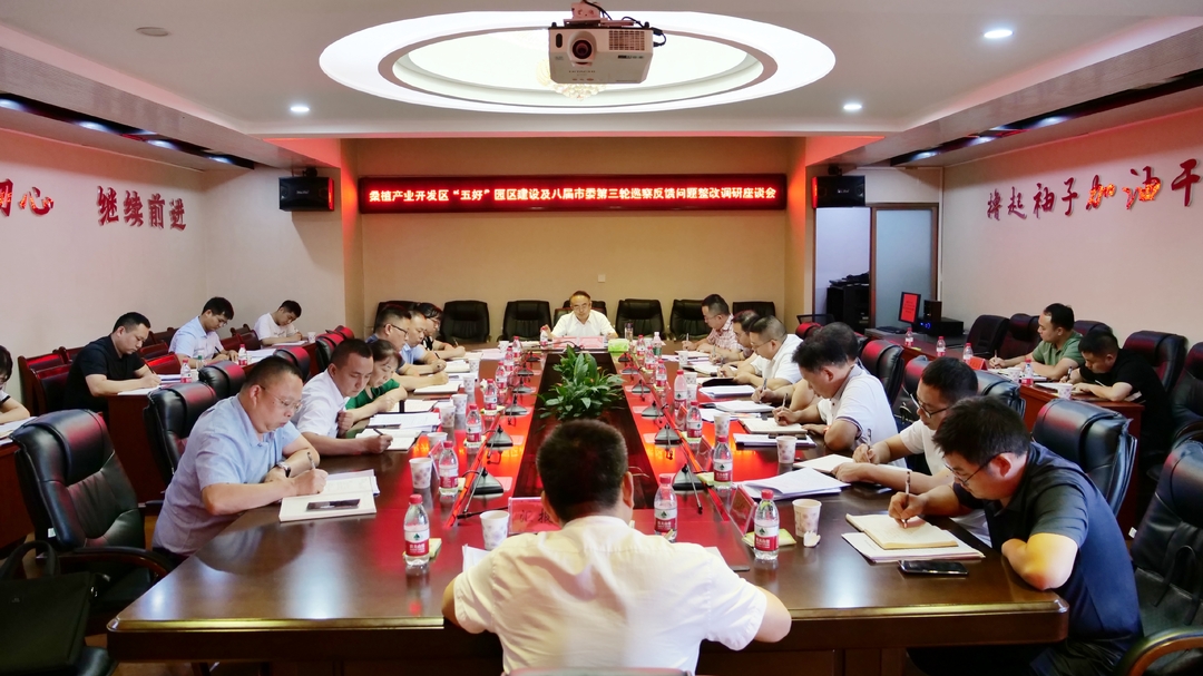 梁高武到桑植产业开发区调研