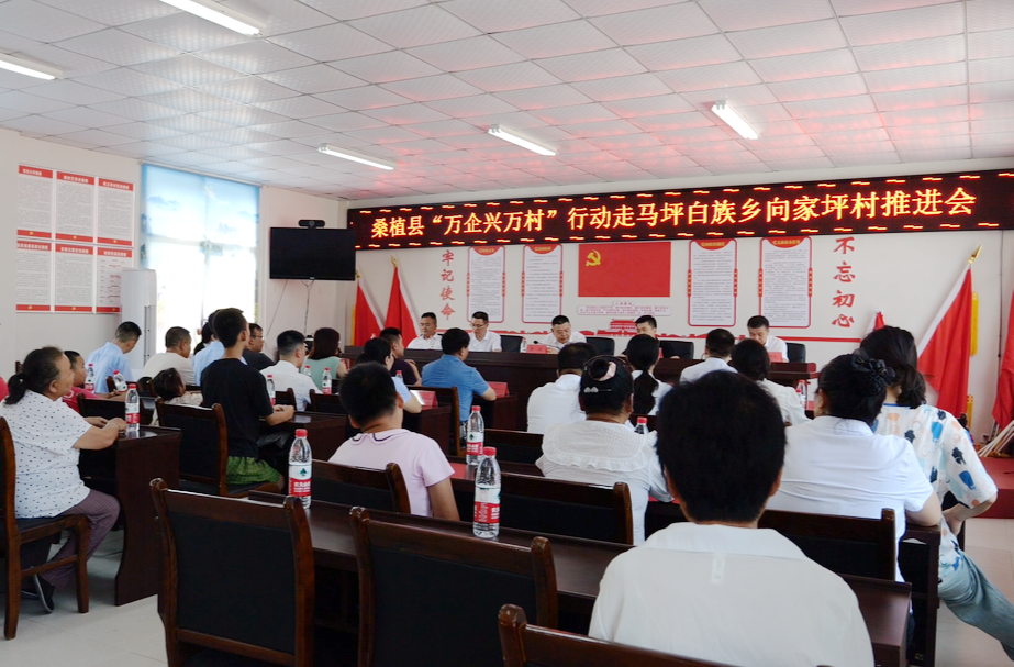 桑植县工商联“万企兴万村”行动走进走马坪白族乡向家坪村
