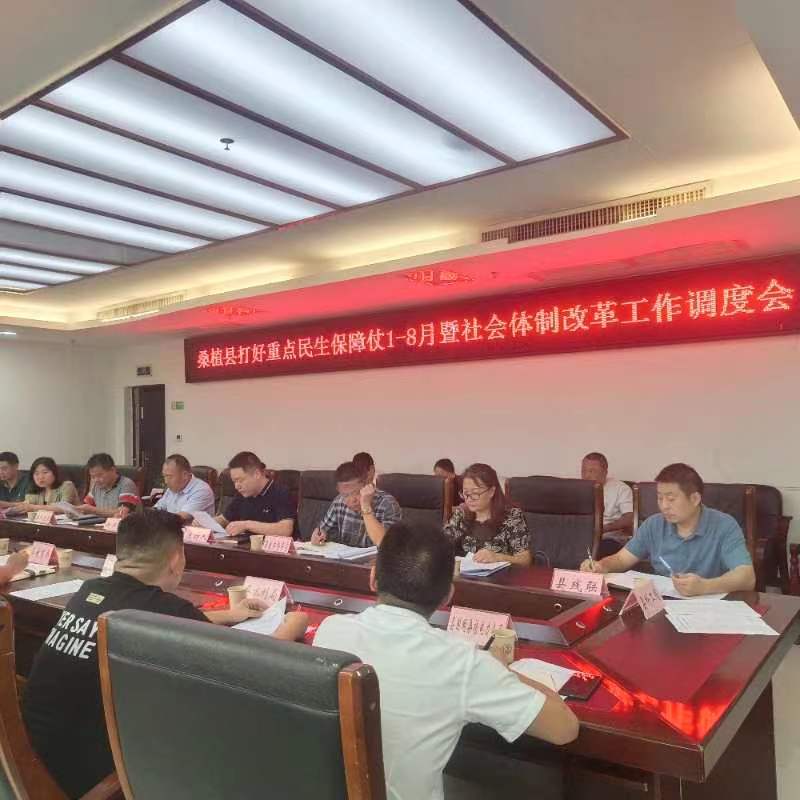桑植2023年1-8月打好重点民生保障仗工作讲评会召开