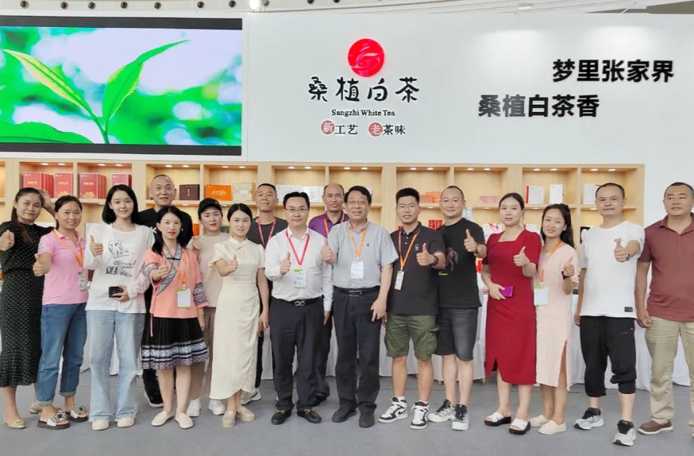 开展第二天，桑植白茶很“甜”很“甜”！