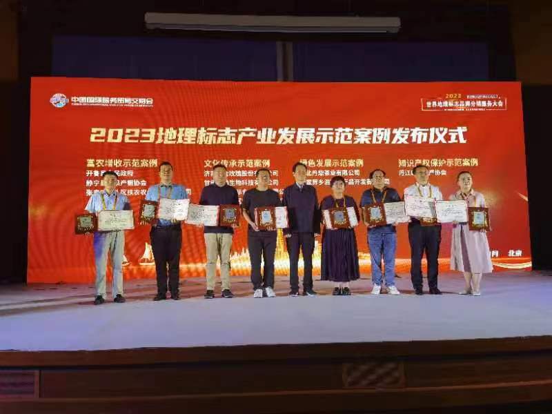又又又获奖啦！桑植白茶闪耀世界舞台