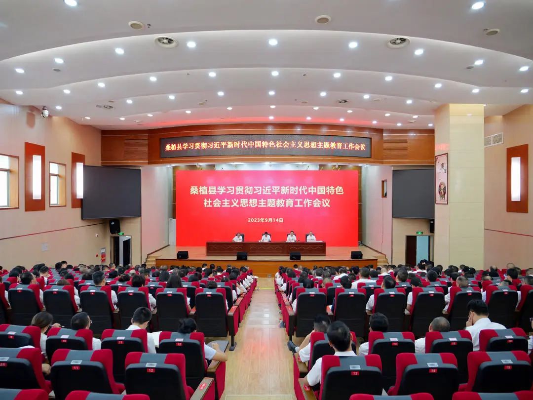 桑植县召开学习贯彻习近平新时代中国特色社会主义思想主题教育工作会议