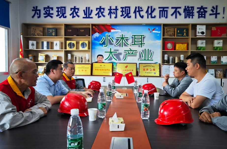 优化营商环境进行时 | 国网桑植县供电公司：“党建+服务”助力优化营商环境