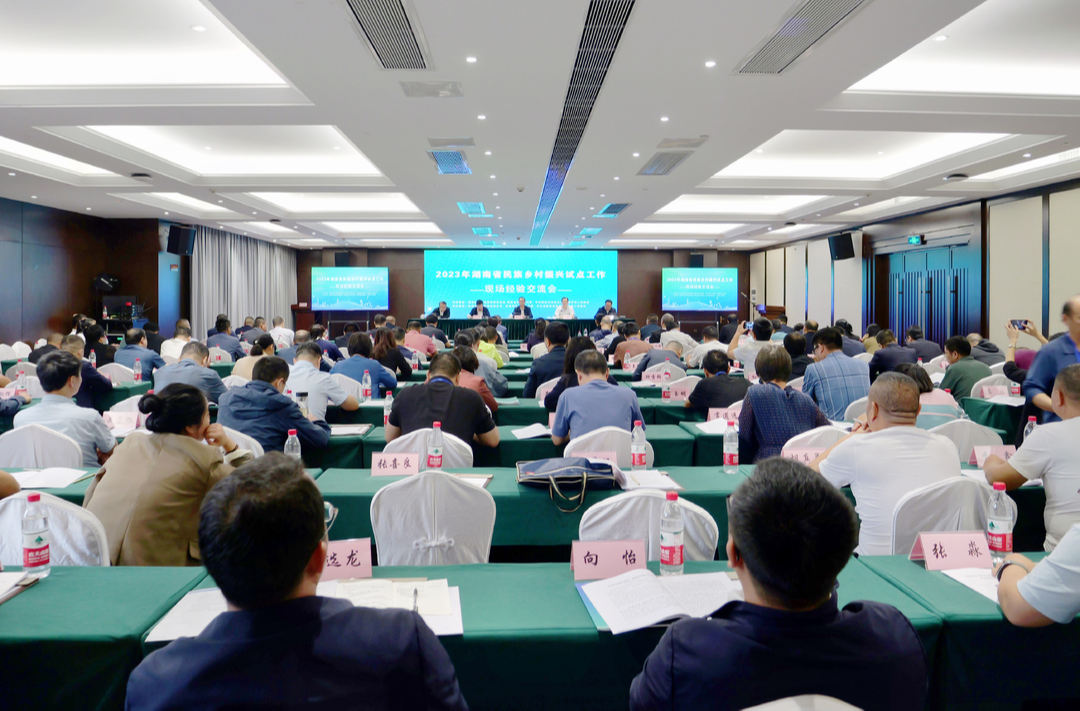 全省民族乡村振兴试点工作现场经验交流会在桑召开