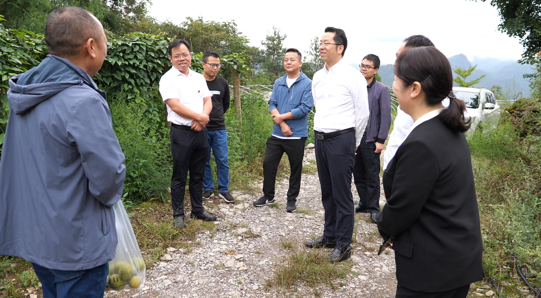 朱星春到沙塔坪乡和利福塔镇调研乡村振兴工作