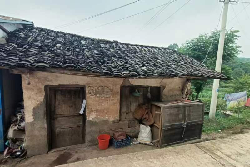 控违治违曝光台