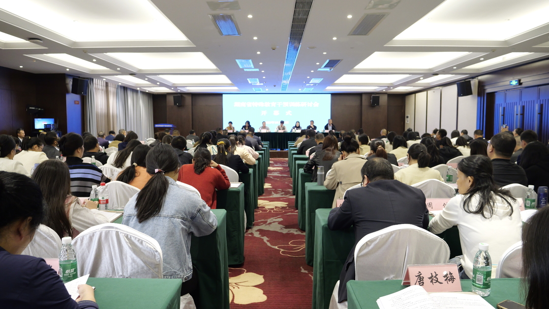 湖南省特殊教育干预训练研讨会在桑召开