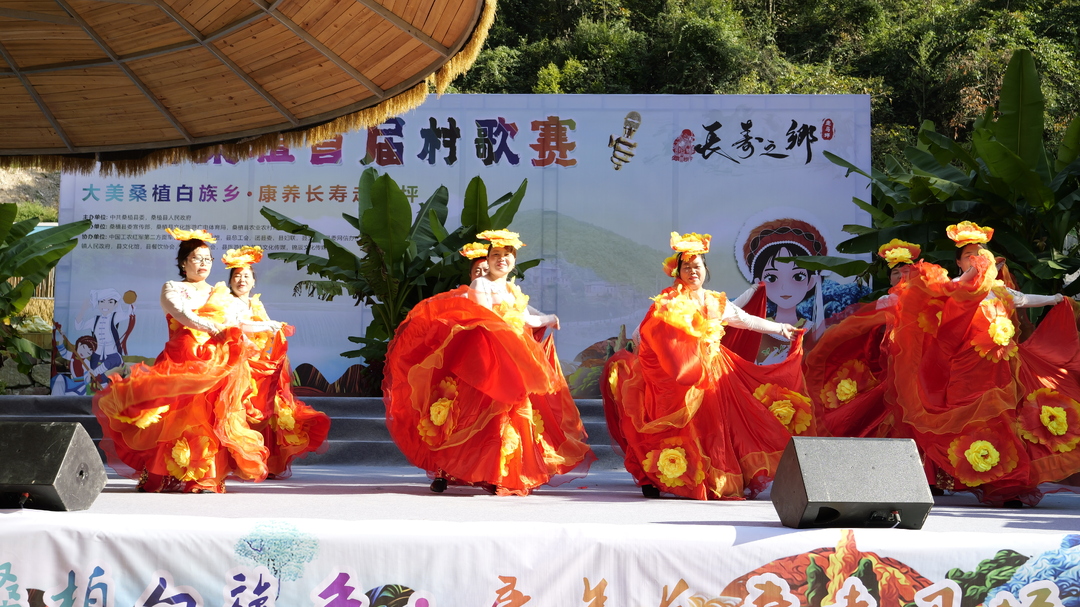 村歌赛进行时：走马坪白族乡村歌赛  民俗文化大放异彩