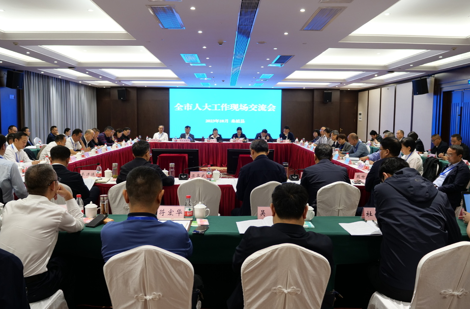 全市第二次人大工作现场交流会在桑举行