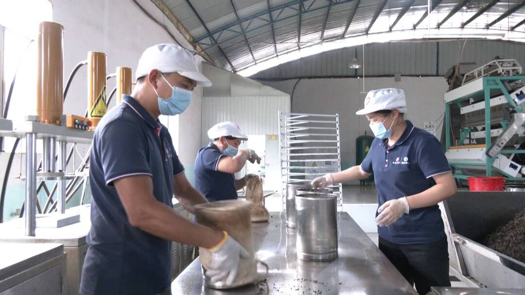 桑植县入选国家地理标志产品保护示范区筹建名单