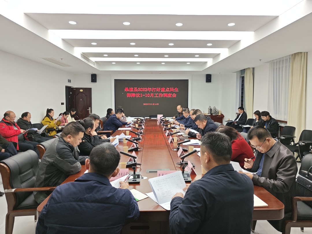 打好发展六仗 | 打好重点民生保障仗1-10月工作调度会召开