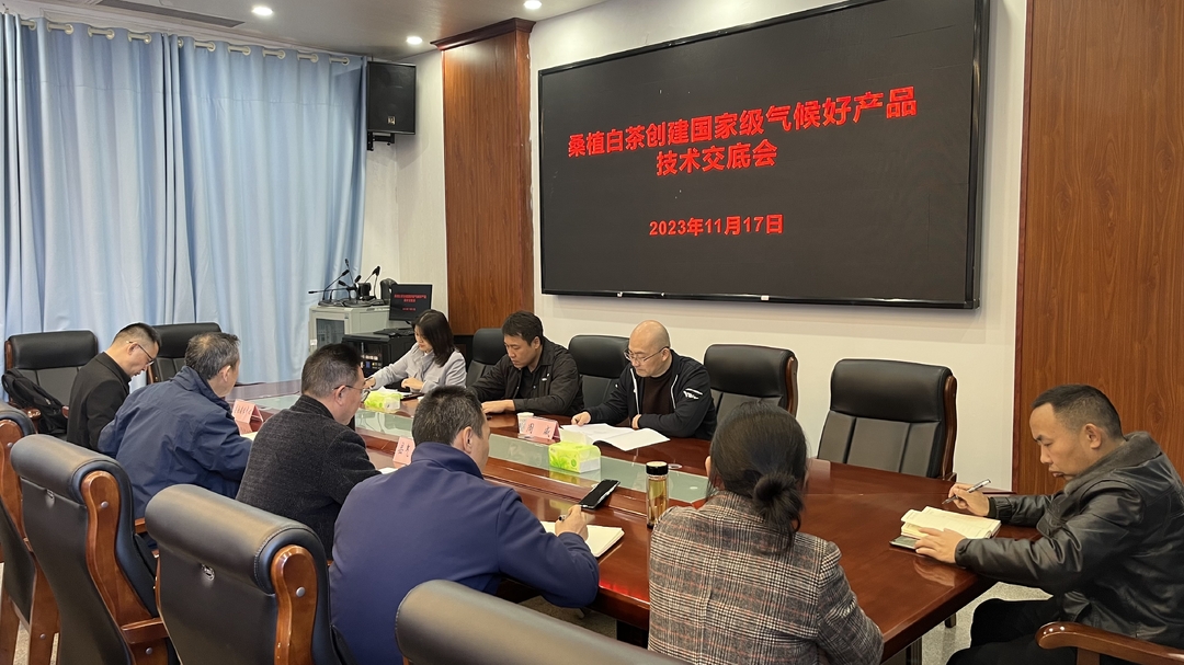 桑植白茶创建国家级气候好产品工作有序推进中