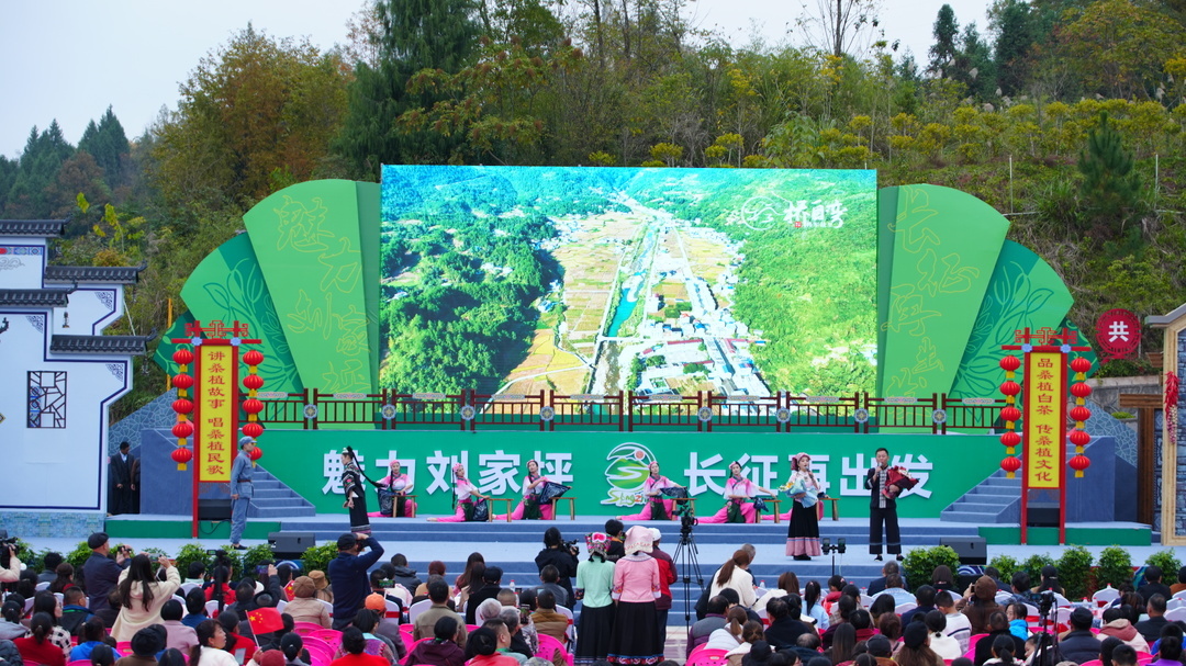 《桑植白茶甜心中》夺魁——桑植首届村歌赛总决赛圆满结束
