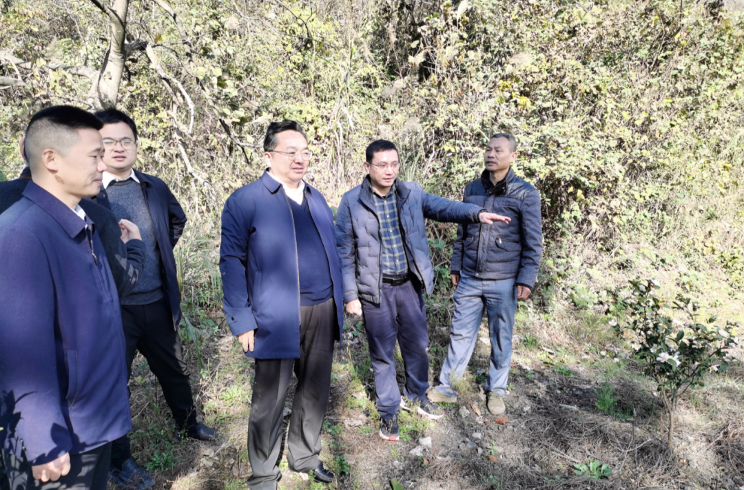 刘兴到金龙村调研指导乡村振兴工作