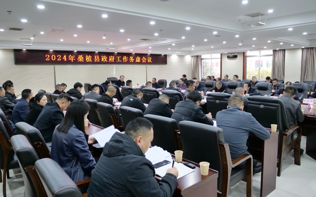 2024年桑植县政府工作务虚会召开