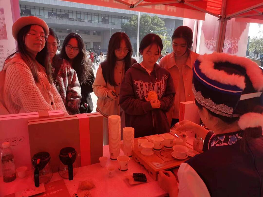 湖湘文化进校园  桑植白茶受热捧
