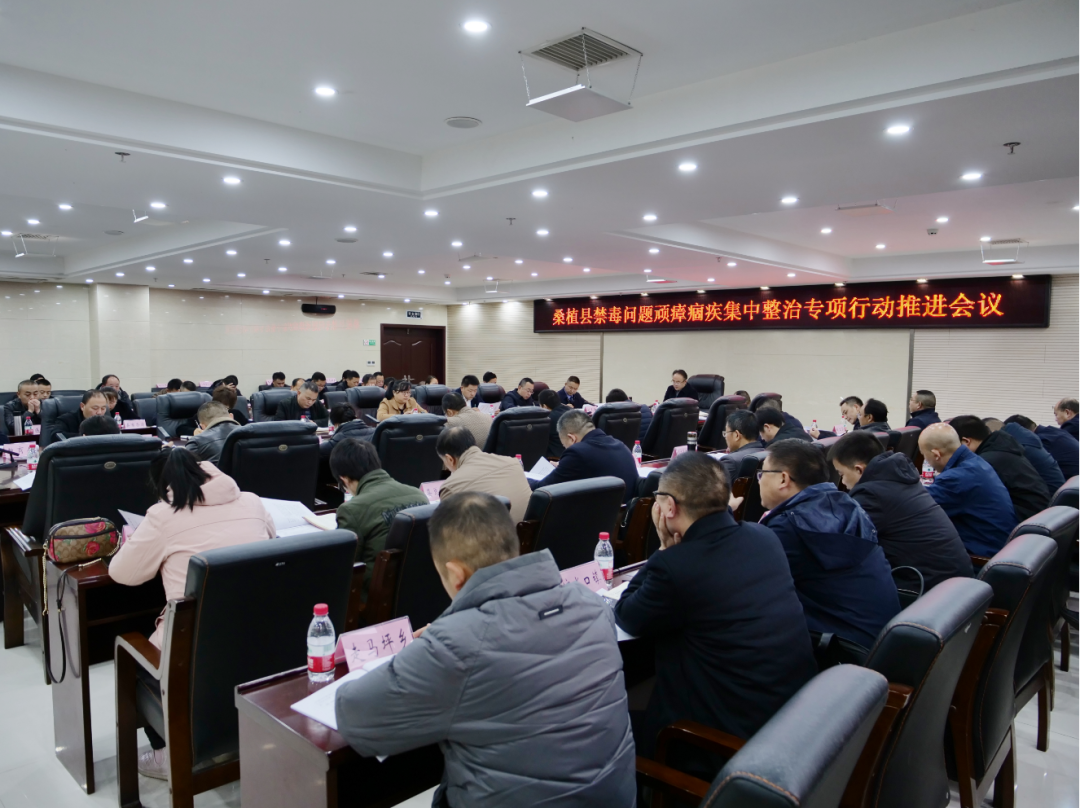 桑植县禁毒问题顽瘴痼疾集中整治专项行动推进会召开