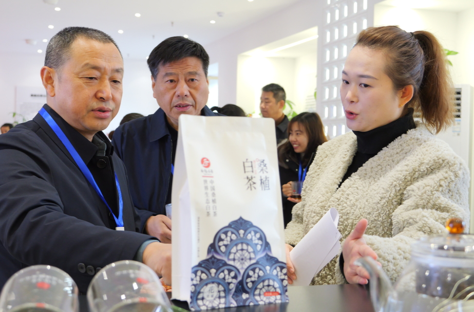市县人大代表视察村集体经济发展情况