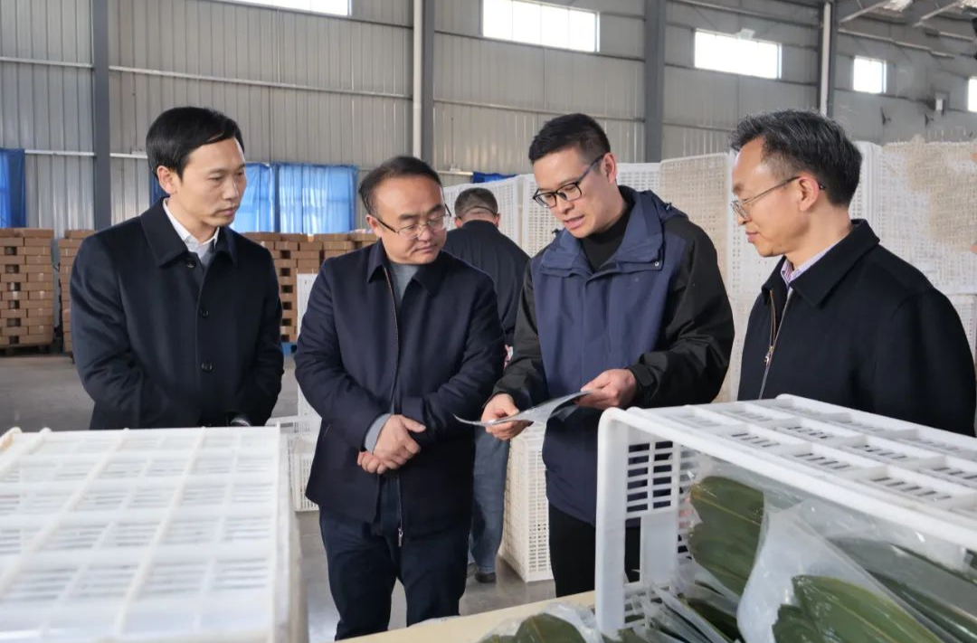 梁高武到鹤峰走亲 双方畅谈发展大计