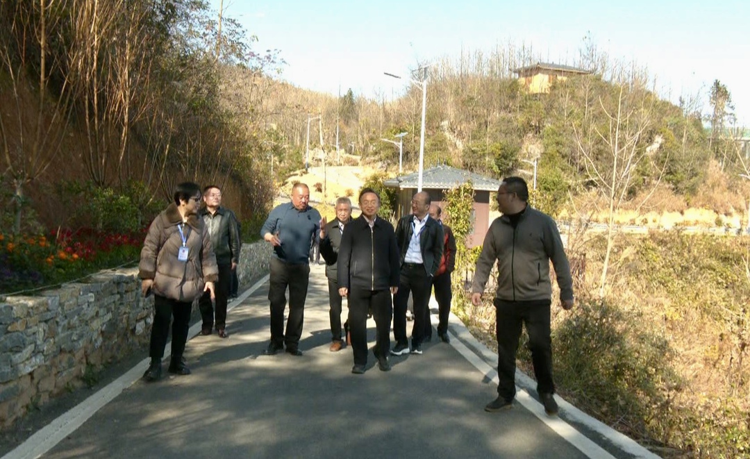 市、县人大代表第一活动小组、第五活动小组视察我县旅游产业发展情况