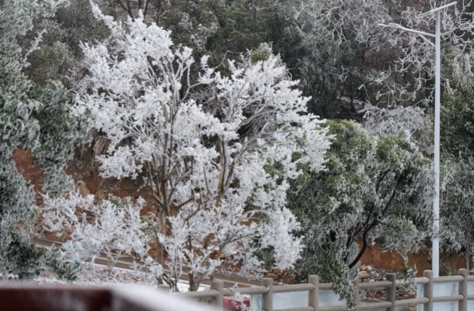 桑植县迎来首场降雪