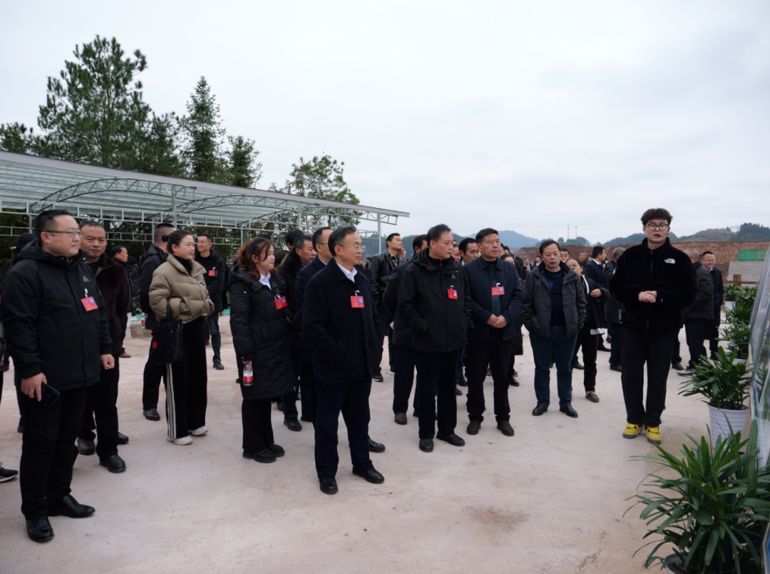两会时间 | 桑植县人大代表、政协委员开展会前集中视察