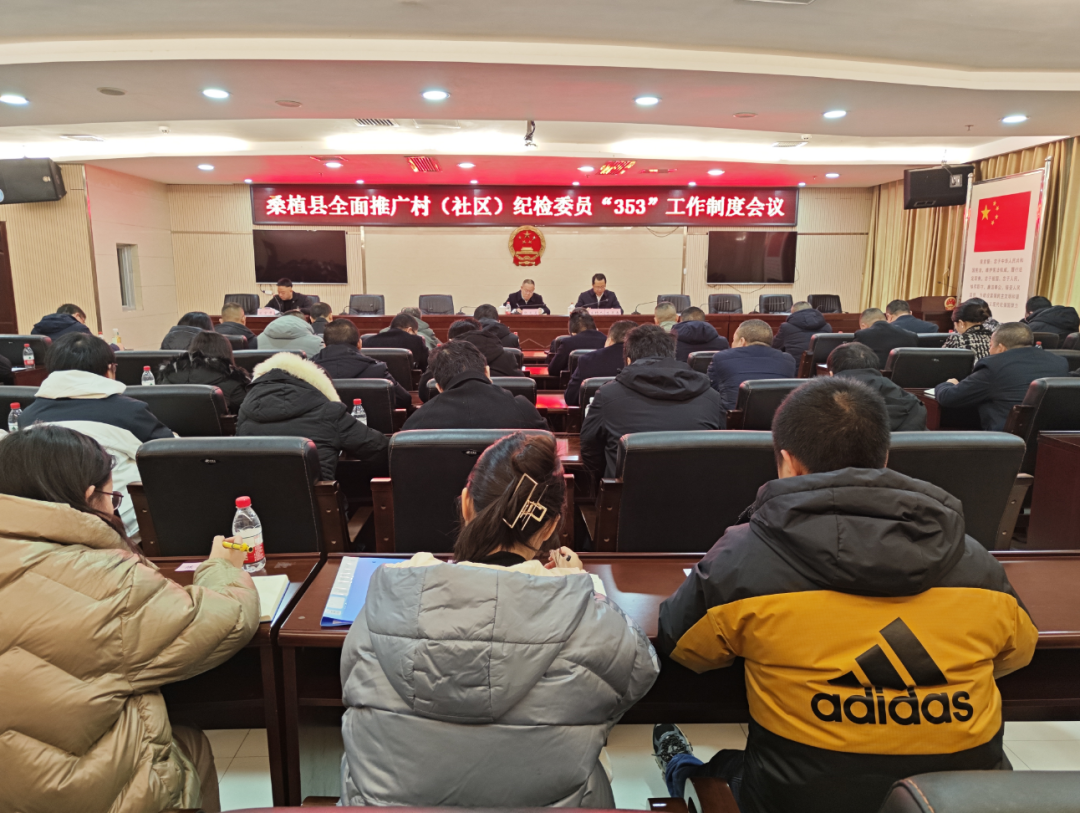 桑植县全面推广村（社区）纪检委员“353”工作制度会议召开