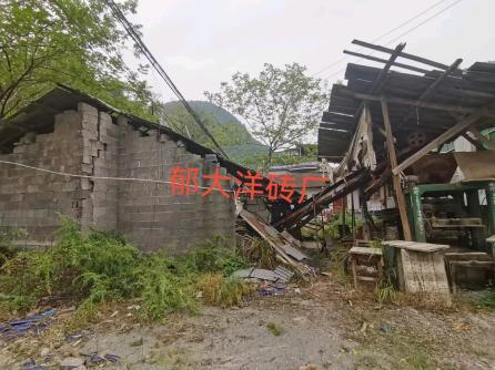控违治违曝光台