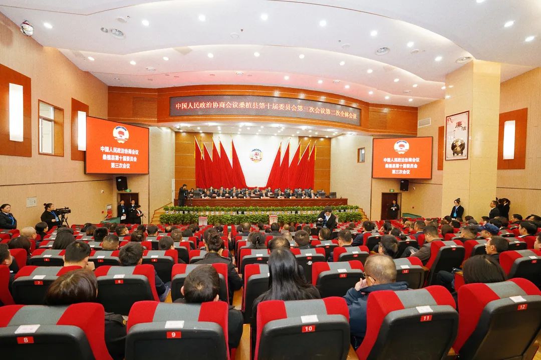 两会时间丨政协桑植县第十届委员会第三次会议举行第二次全体会议
