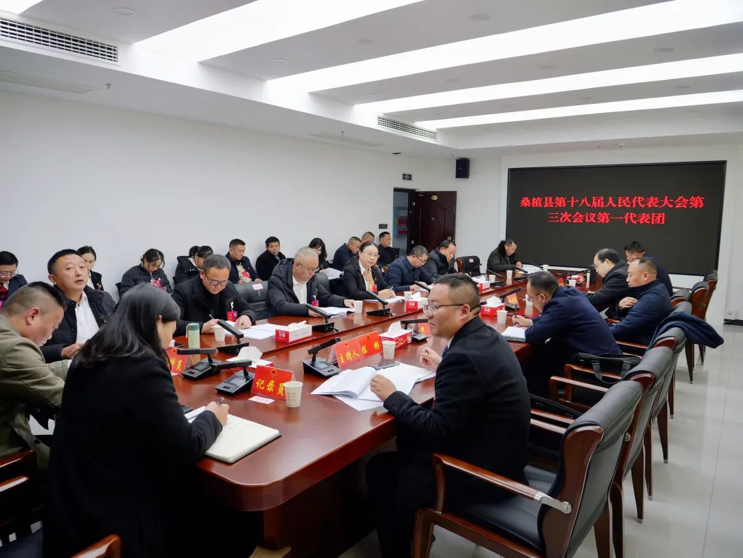 两会时间丨人大代表分团讨论政府工作报告和人大常委会工作报告
