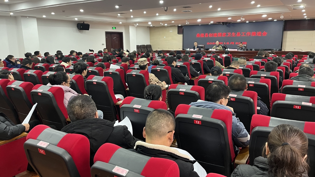 桑植县创建国家卫生县工作推进会召开