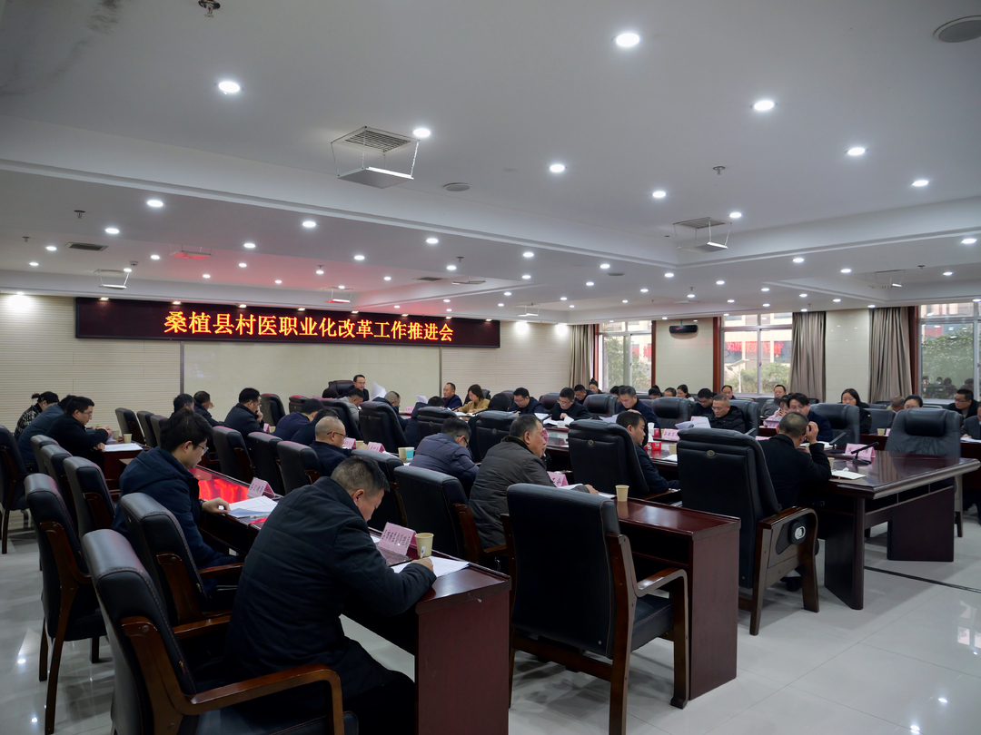 桑植县召开村医职业化改革工作推进会