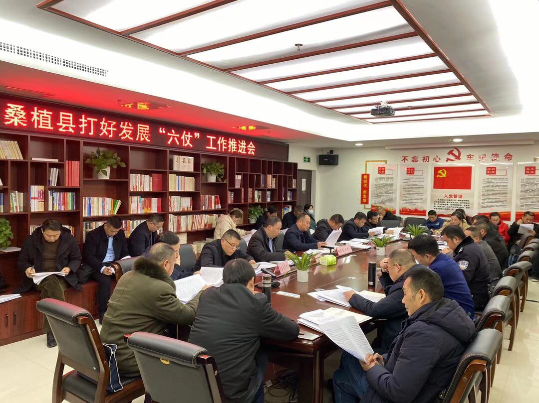 打好发展“六仗” 助力桑植出彩