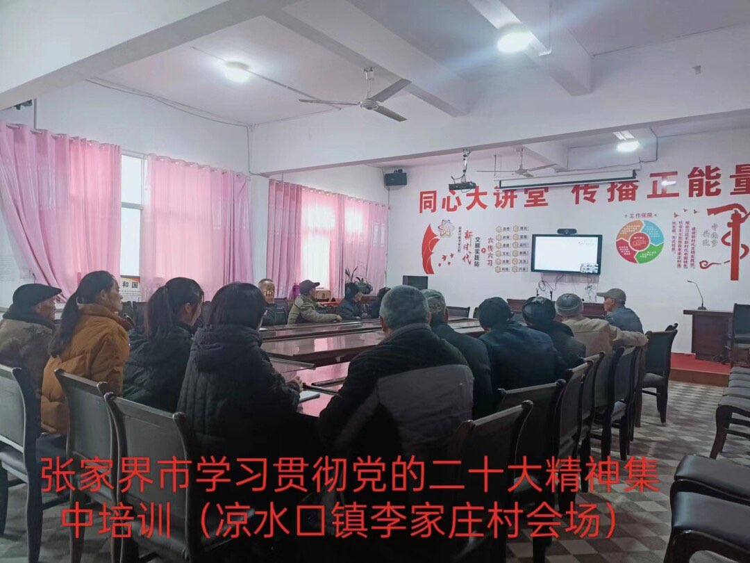 凉水口镇各村（社区）党支部开展学习贯彻党的二十大精神专题培训