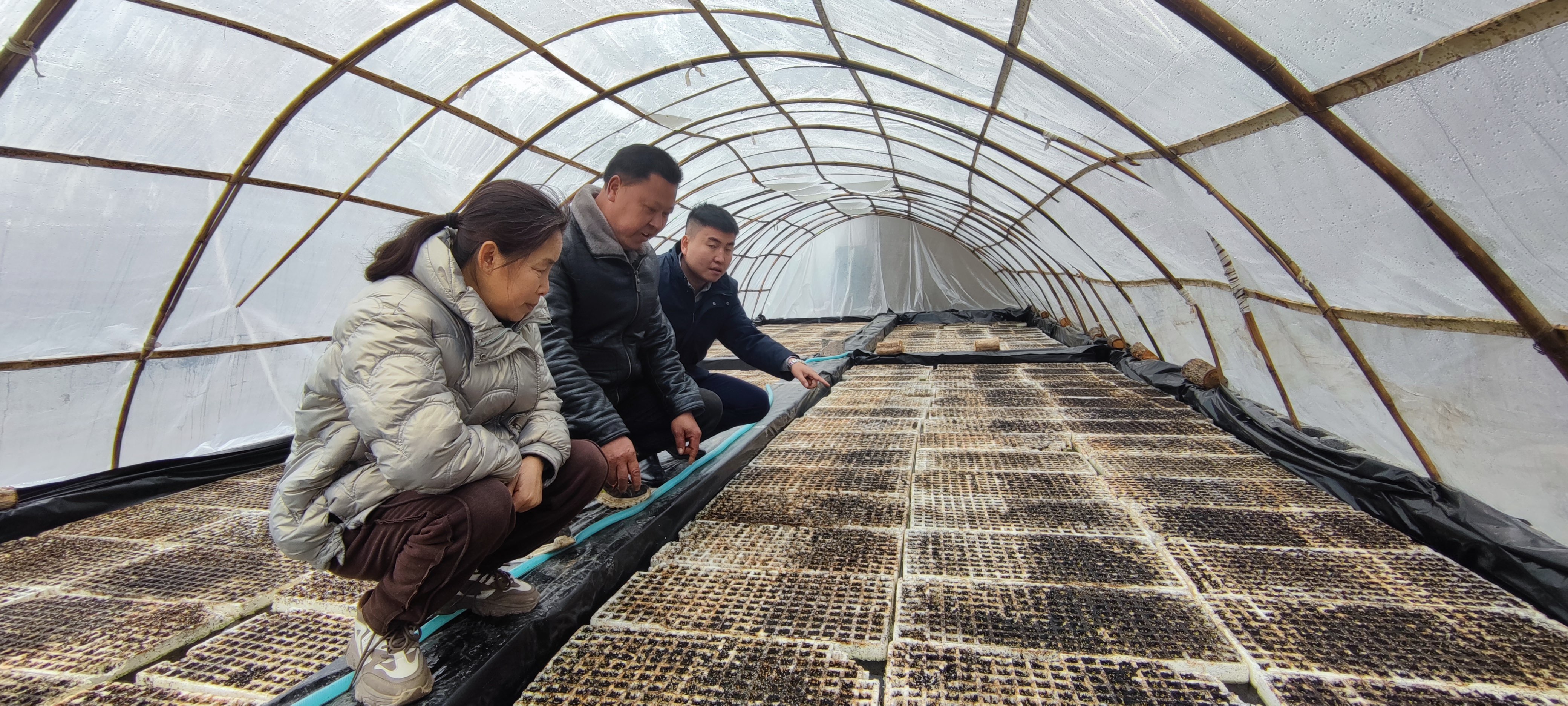 桑植农商银行：施足金融底肥 孕育金色希望