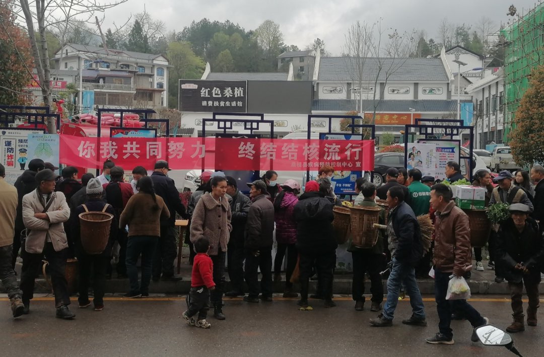 世界防治结核病日|桑植：防痨宣传在行动  健康呼吸我守护