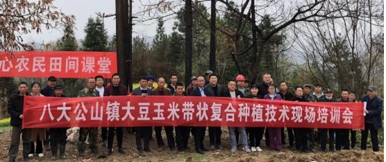 八大公山镇：开展大豆玉米带状复合种植“田间课堂” 培训