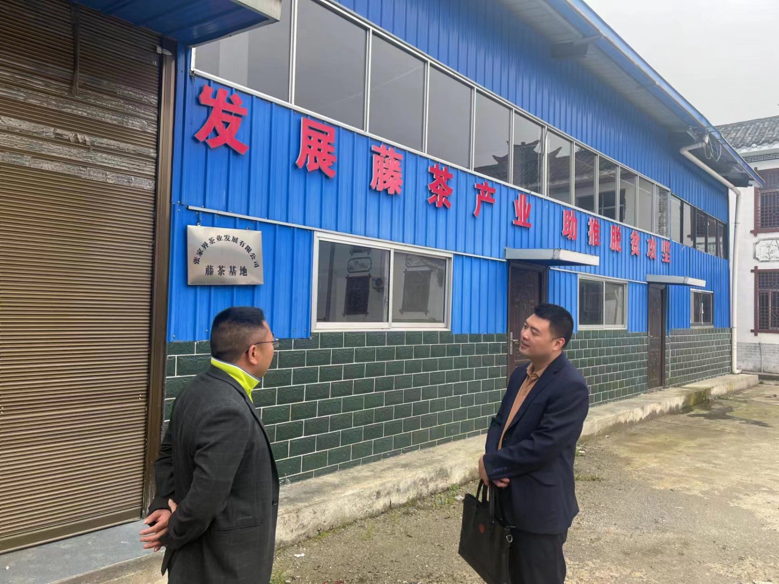 桑植农商银行麦地坪支行：金融“活水”润泽茶乡  “贷”动莓茶产业兴旺
