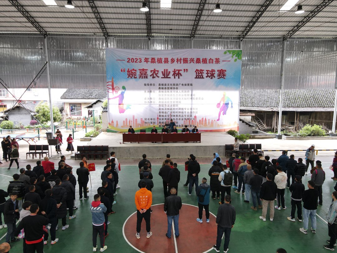 桑植县乡村振兴桑植白茶“婉嘉农业杯”篮球赛开赛